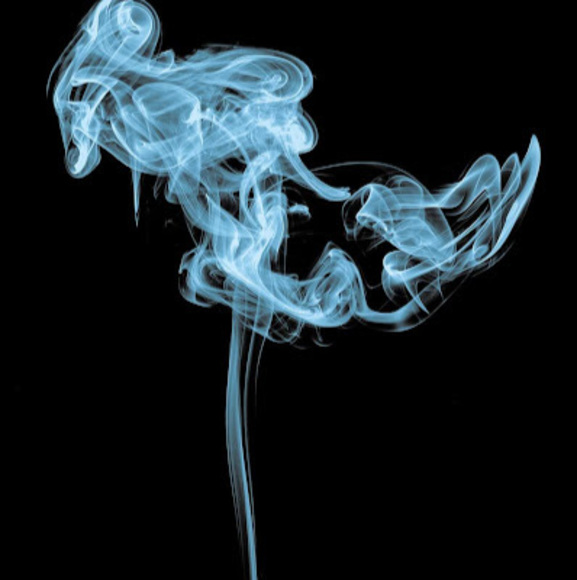 Meet your Posher, Sara - Picture 1 of 1